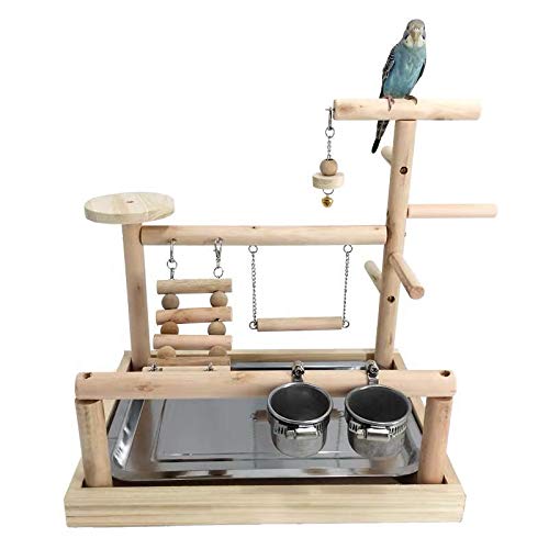 Bird Perch with Play Gym