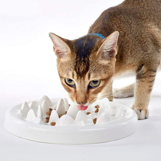Cat Interactive Feeder Bowl